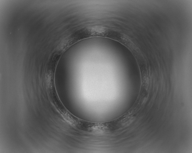 X0000060560468200511031248