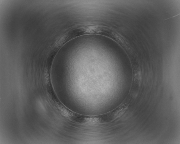 X0000060560469200511031248