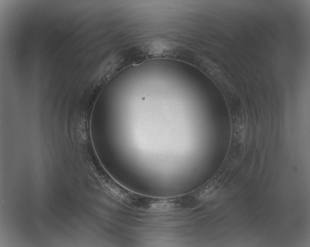 X0000060560470200511031248