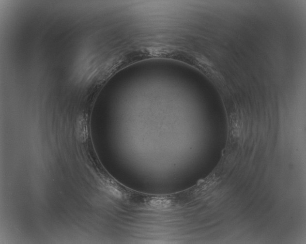 X0000060560471200511031248