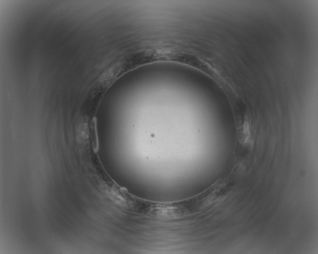 X0000060560472200511031248