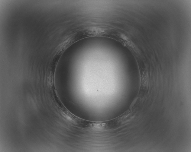 X0000060560474200511031248