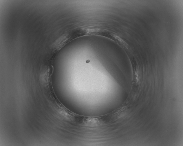 X0000060560475200511031248