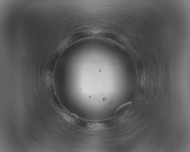 X0000060560476200511031248