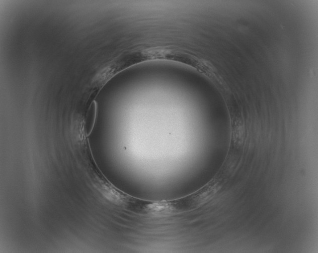 X0000060560477200511031248