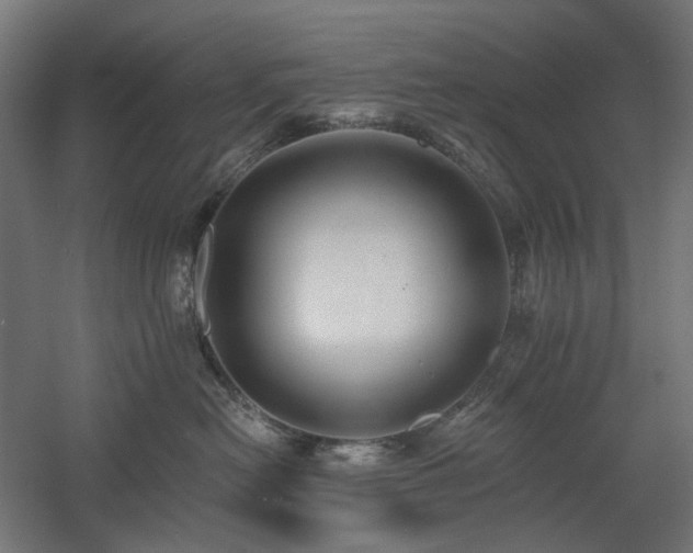 X0000060560478200511031248