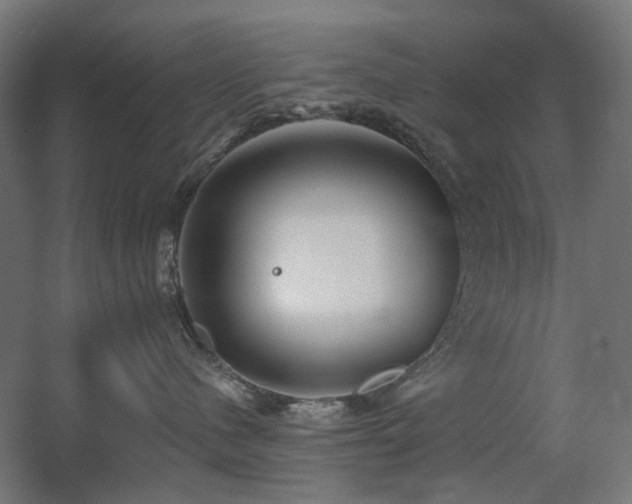 X0000060560480200511031248