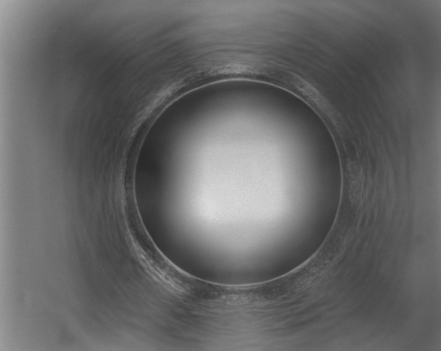 X0000060560482200511031247