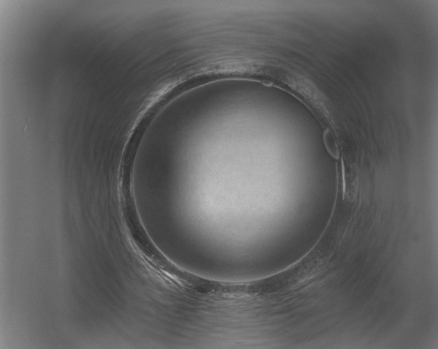 X0000060560483200511031247