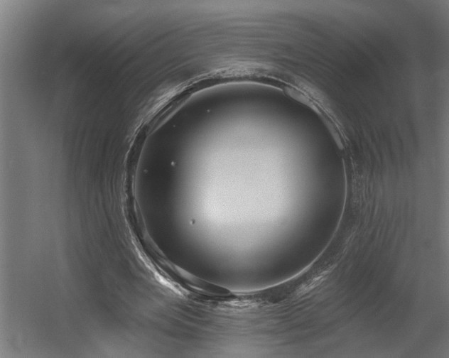 X0000060560485200511031247