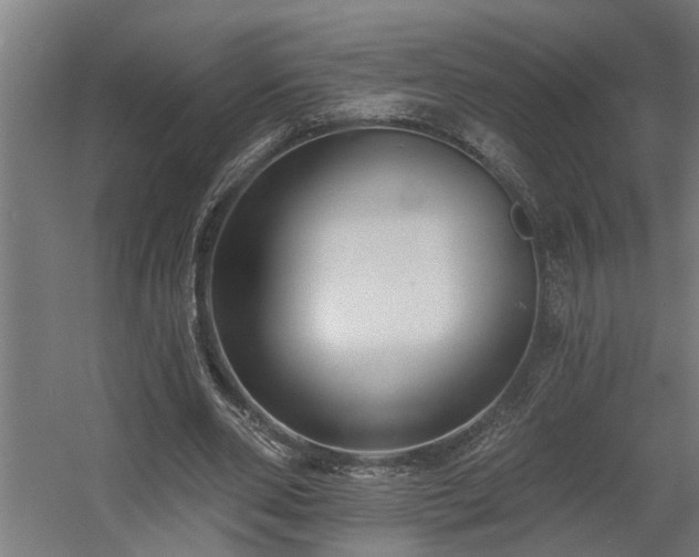 X0000060560486200511031247