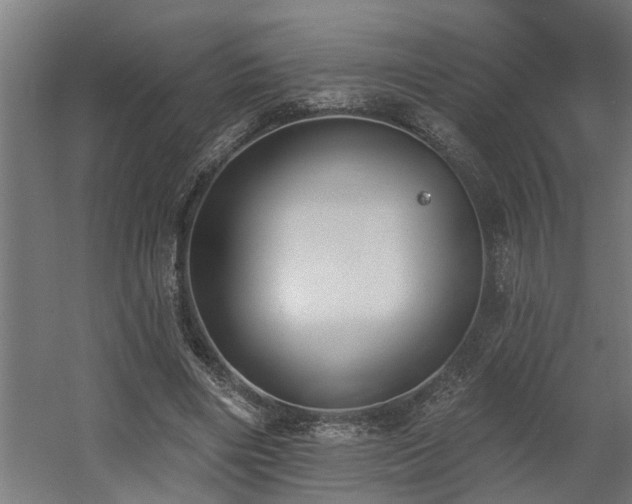 X0000060560490200511031247