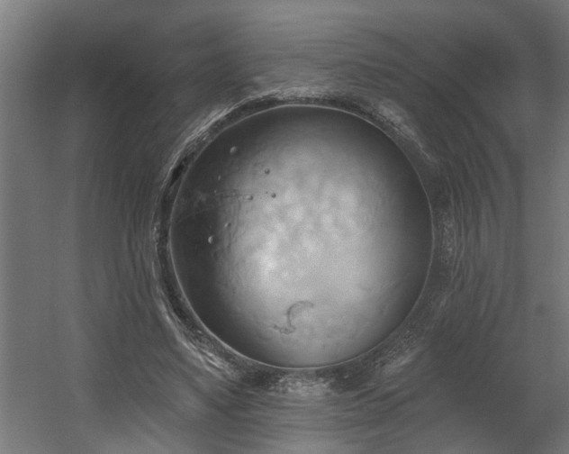 X0000060560491200511031247