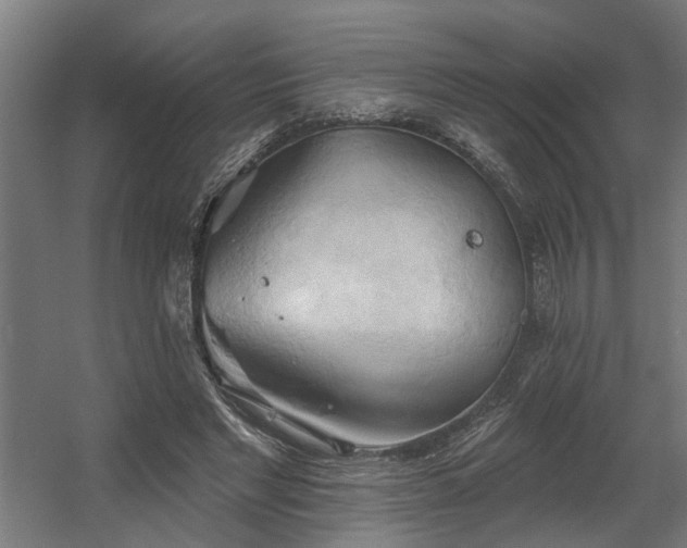 X0000060560493200511031247