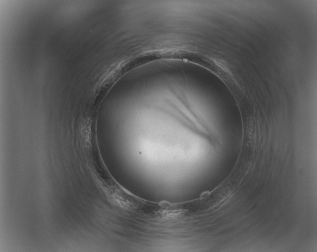 X0000060560495200511031247