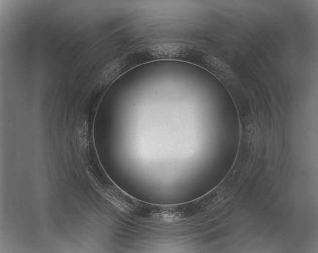 X0000060560498200511031247