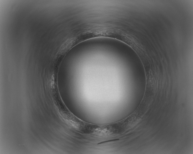 X0000060560502200511031247