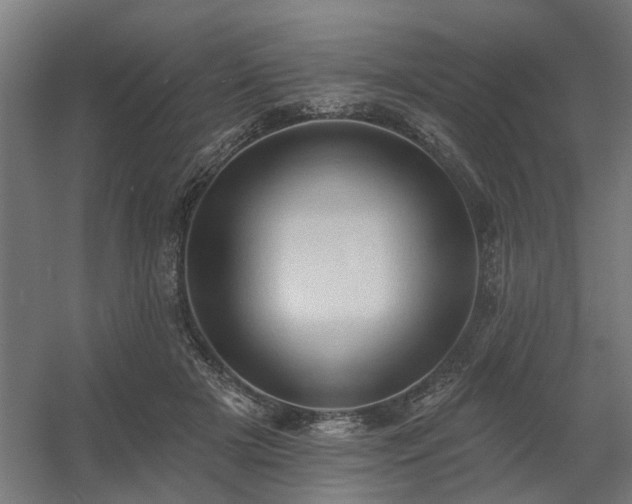 X0000060560505200511031247