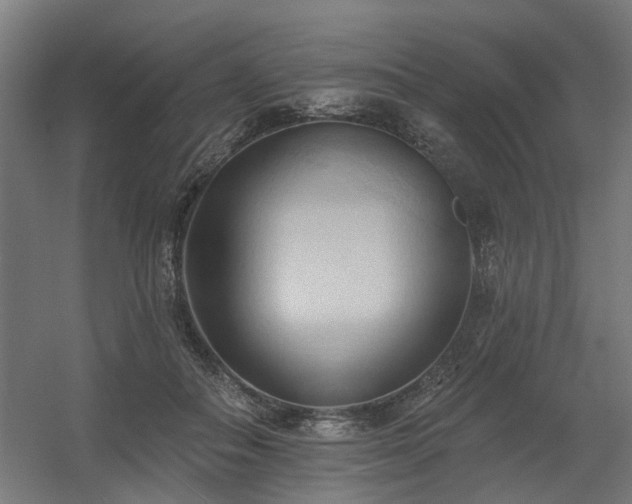 X0000060560506200511031246