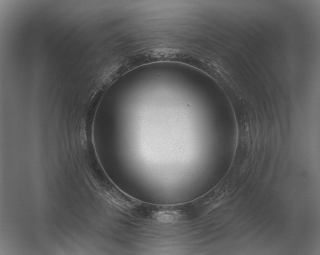 X0000060560508200511031246