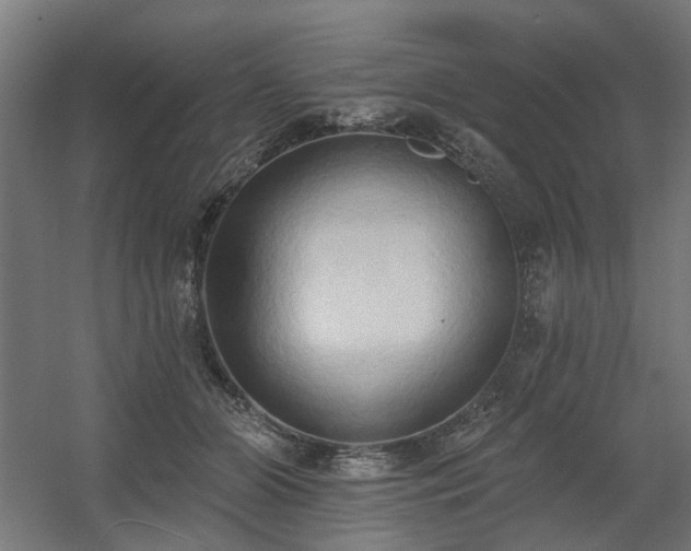 X0000060560510200511031246