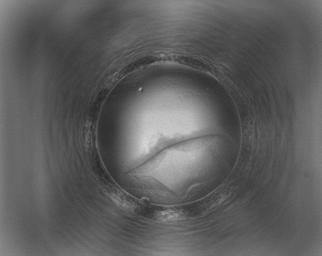 X0000060560511200511031246