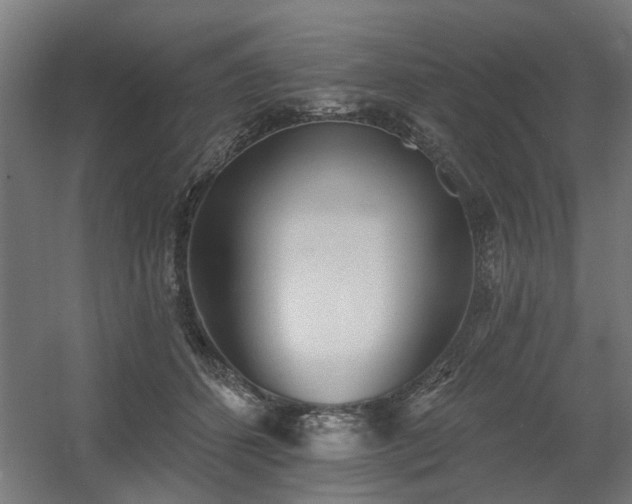 X0000060560512200511031246