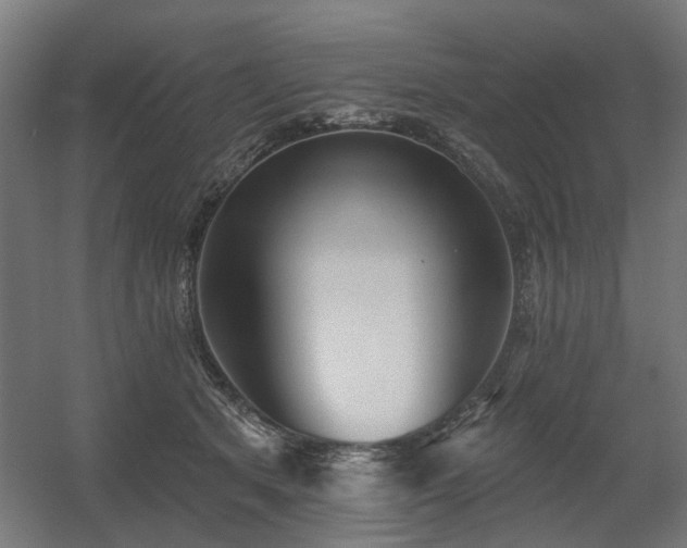 X0000060560513200511031246