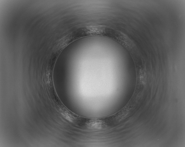 X0000060560514200511031246