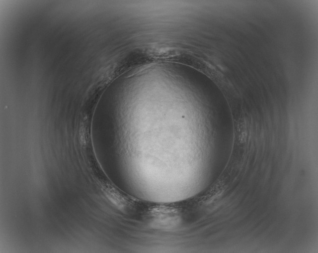 X0000060560515200511031246