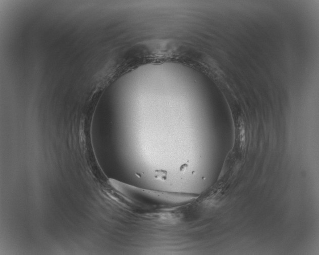 X0000060560516200511031246