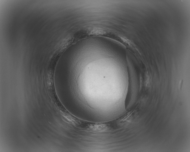 X0000060560517200511031246