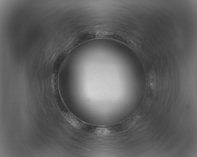 X0000060560519200511031246