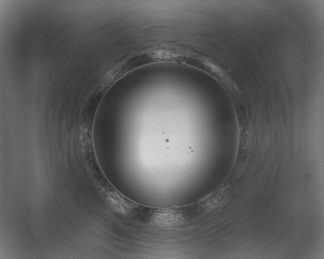 X0000060560521200511031246