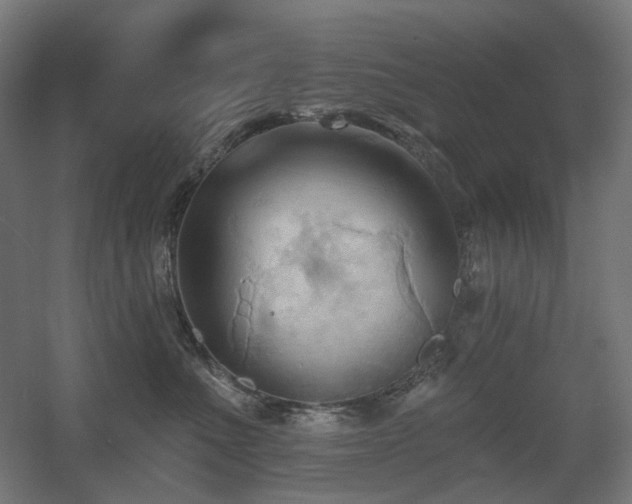 X0000060560523200511031246