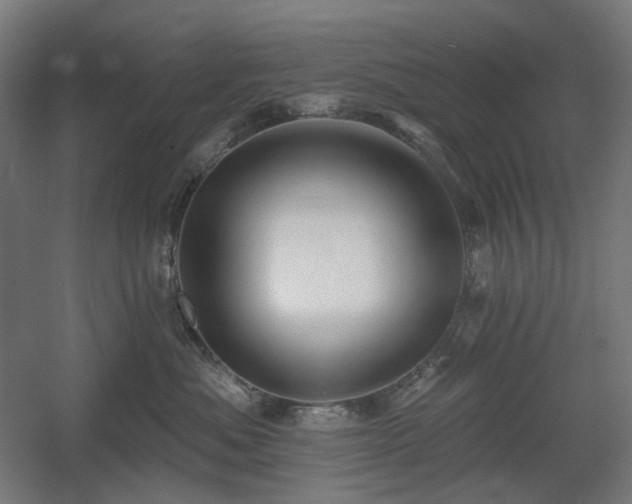 X0000060560525200511031246