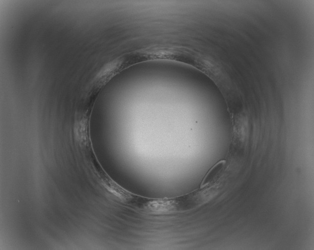 X0000060560526200511031246