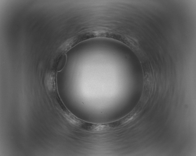 X0000060560527200511031246