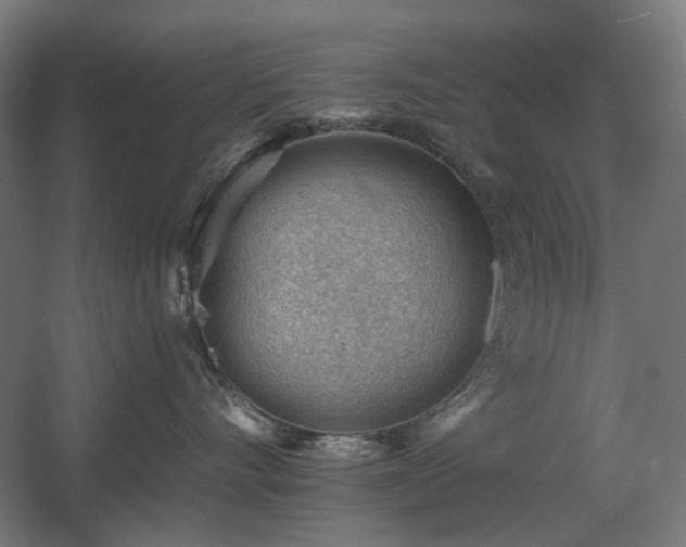 X0000060560528200511031246