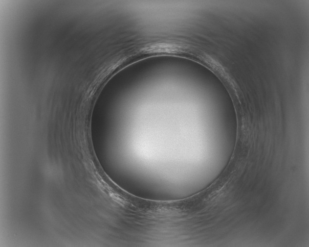 X0000060560529200511031245