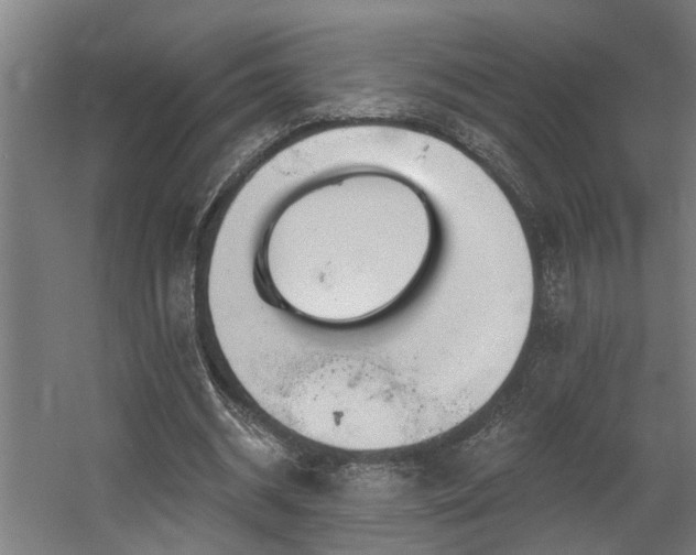 X0000060560534200511031245