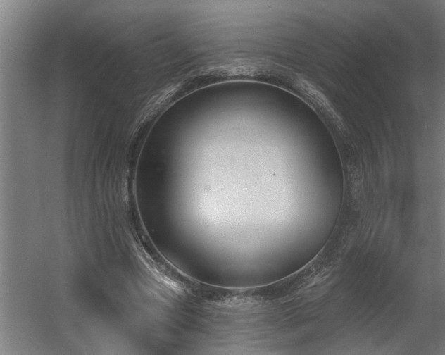 X0000060560537200511031245