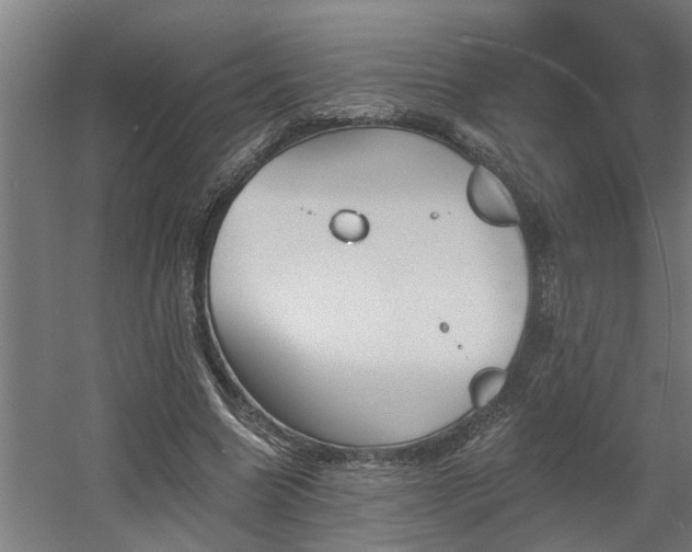 X0000060560538200511031245