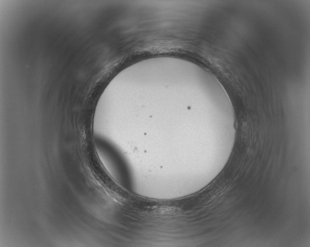 X0000060560539200511031245