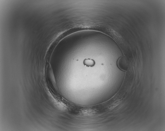 X0000060560540200511031245