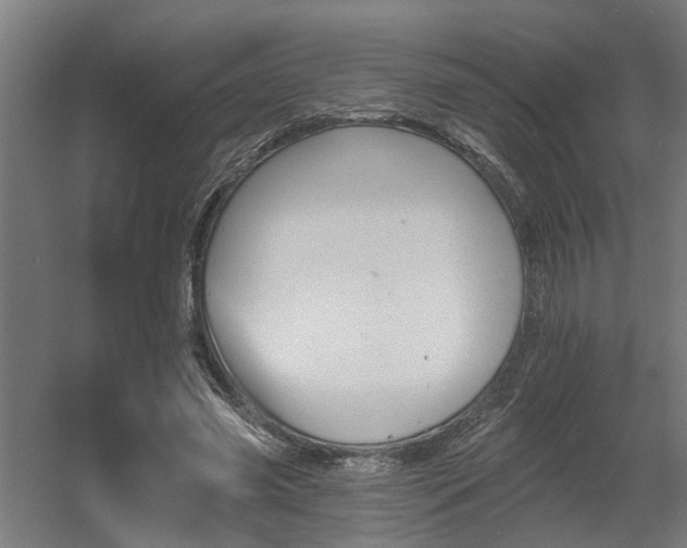 X0000060560541200511031245