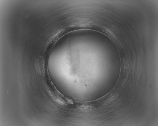 X0000060560542200511031246