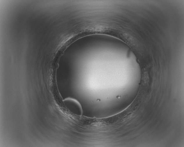 X0000060560544200511031246