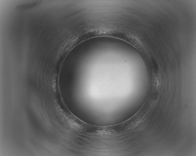 X0000060560545200511031246