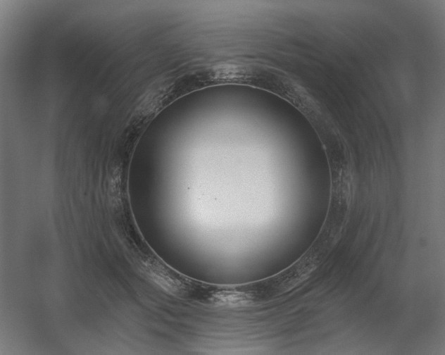 X0000060560557200511031246